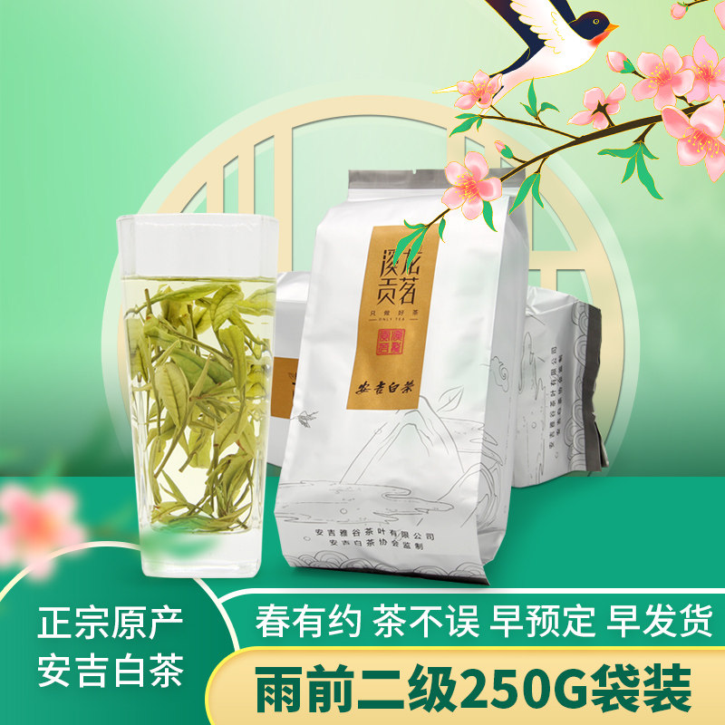 正宗安吉白茶2021新茶新茶叶袋装