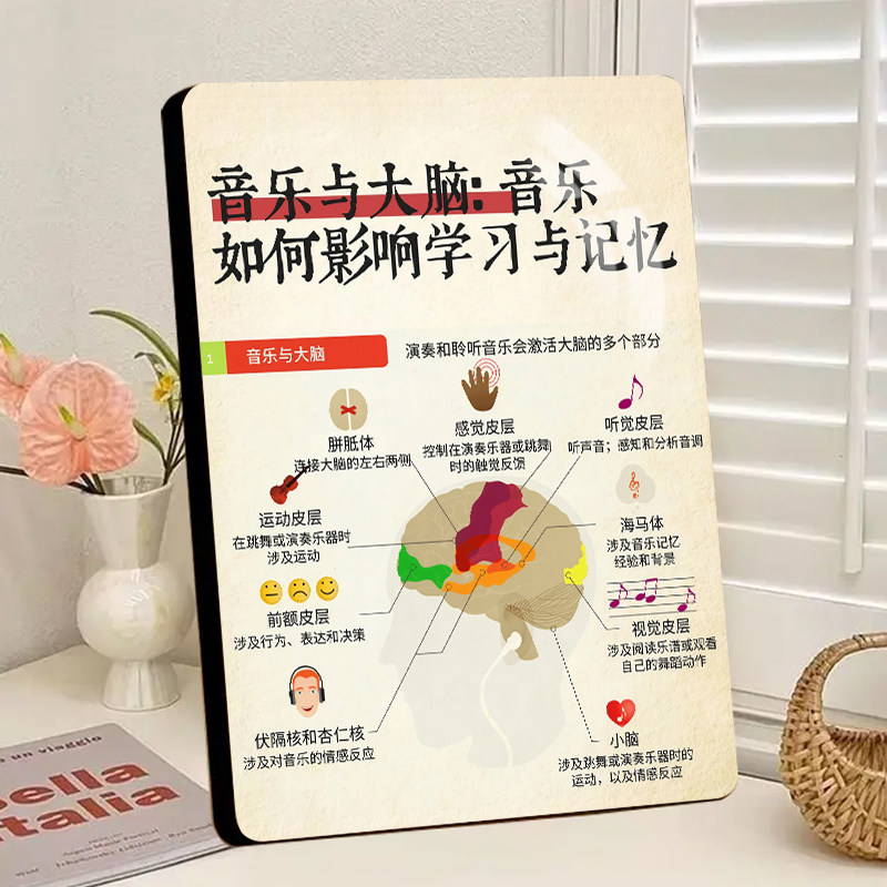 音乐与大脑科普相框摆台书房客厅琴房提升记忆力桌面装饰画摆件