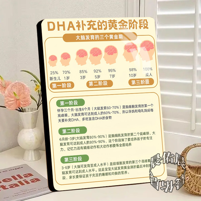儿童大脑发育关键期科普相框DHA补充黄金阶段图解母婴店科普摆台