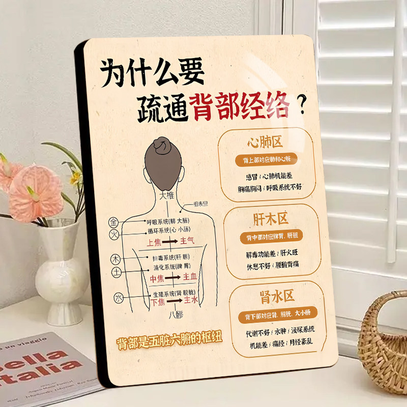 背部经络图现代装饰相框美容院中医养生馆桌面上摆台简约中式摆件