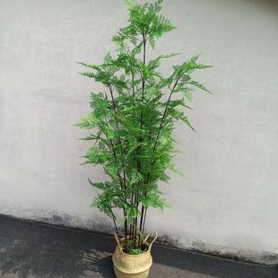 网红北欧仿真植物绿植大型花卉落地盆栽绿植假蕨树仿真树客厅假花