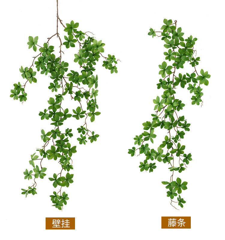日本吊钟植物马醉木北欧风网