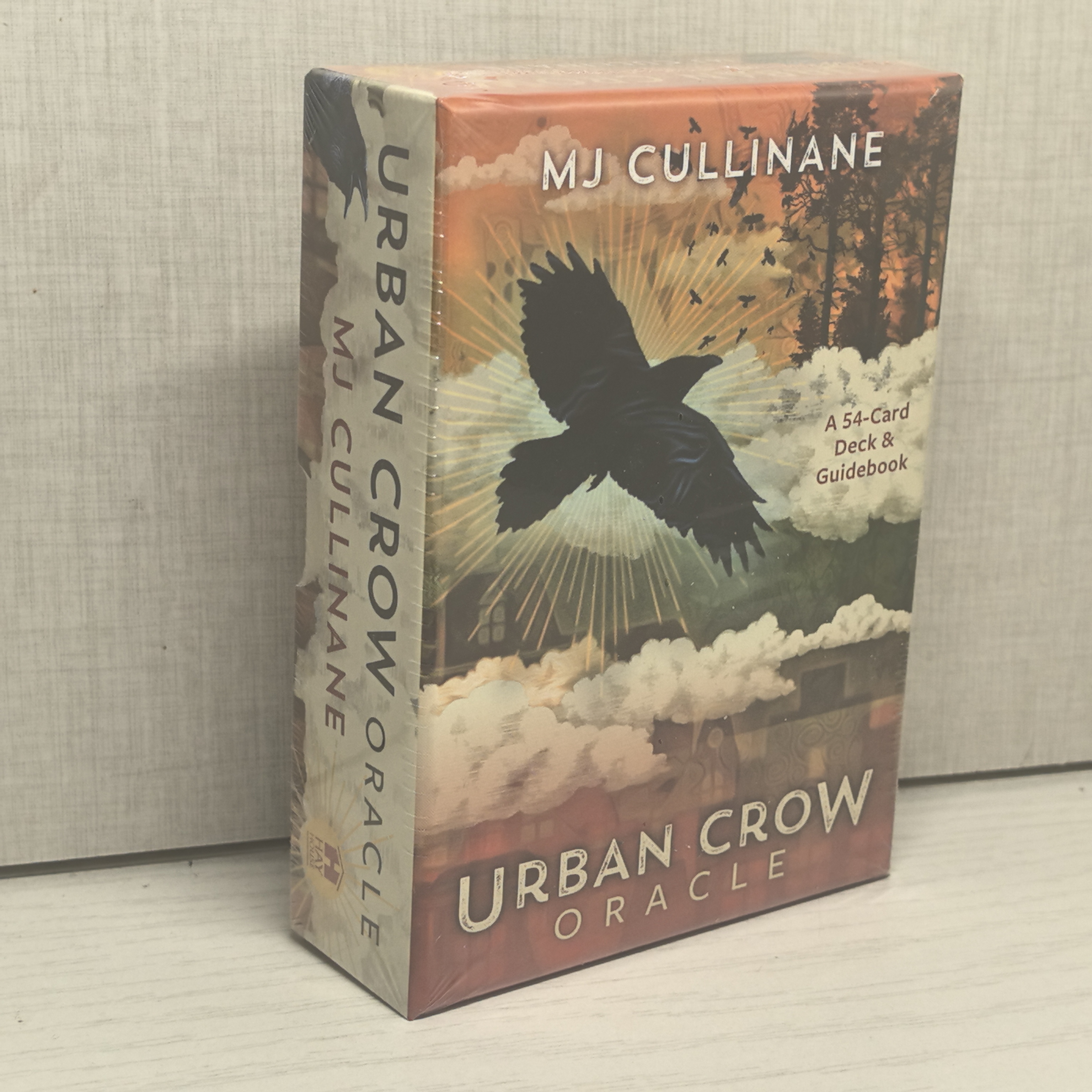 Urban Crow Oracle都市乌鸦神谕卡MJ Cullinane英文原版盒装