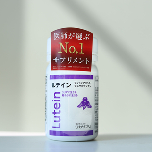 现货 日本GMP认证分子生理化学研究所 叶黄素野生越橘养眼丸30粒