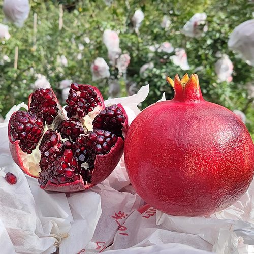 黑钻石榴软籽酸甜石榴黑籽石榴孕妇水果酸石榴