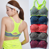 Coques pour soutien-gorge CANVAUS - Ref 822221 Image 207