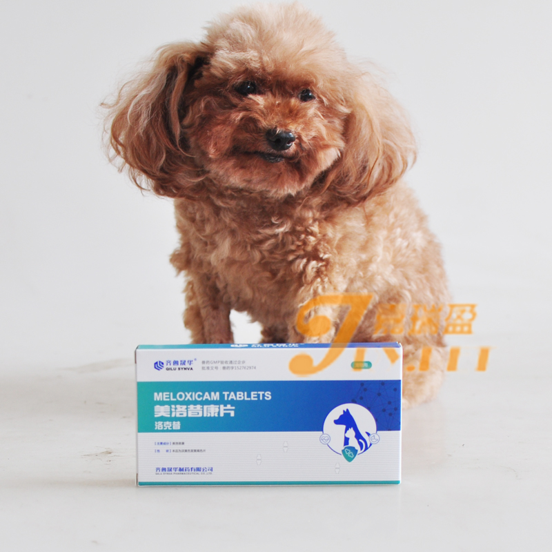 齐鲁美洛昔康片犬猫关节止痛药