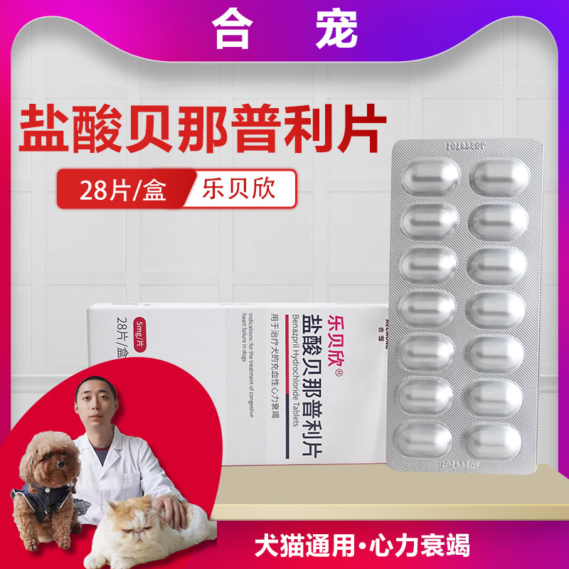 狗狗猫咪心脏病喘气厉害心脏肥大