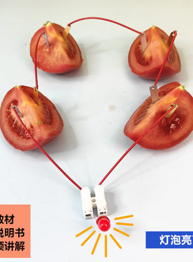 水果电池发电科学小实验材料器材