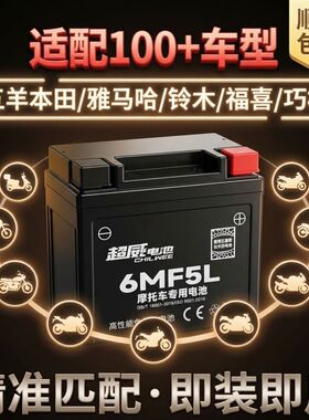 超威6MF5L雅马哈飞致150 天剑YS150-5摩托车电瓶蓄电池干电池