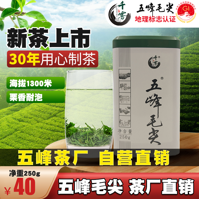 【2024新茶 五峰厂家】五峰毛尖湖北宜昌炒青散装绿茶叶250g
