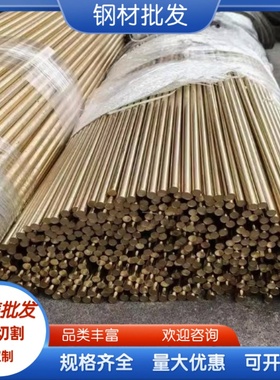 CuSn10Pb1铸造锡青铜棒 ZQSN10-1 CuSn10P1高耐磨QSN10-1锡青铜套