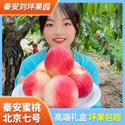 秦安水蜜桃现摘新鲜当季水果整箱甘肃天水北京七号甜脆桃子礼盒装