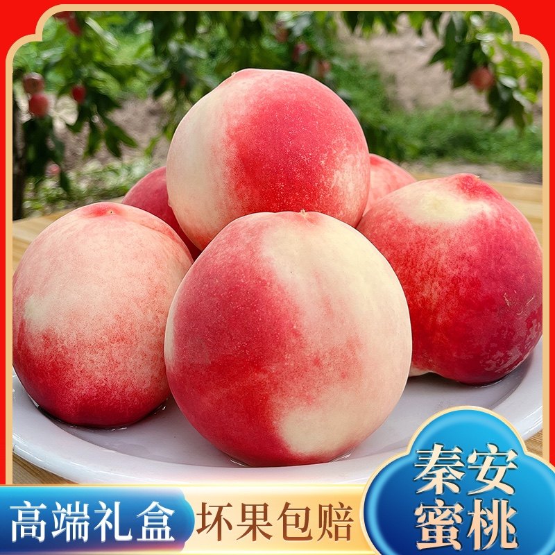 正宗秦安水蜜桃新鲜现摘当季水果孕妇桃整箱天水甜脆桃子