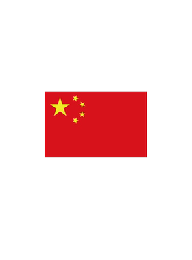 国旗贴纸脸贴爱心红旗贴衣服防水
