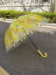 高颜值枫叶雨伞公主伞长柄女士个性创意树叶透明伞小清新阿波罗伞