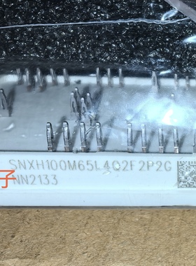 SNXH100M65L4Q2F2PG SNXH100M65L3Q2F2PG 新能源模块全新原装现货