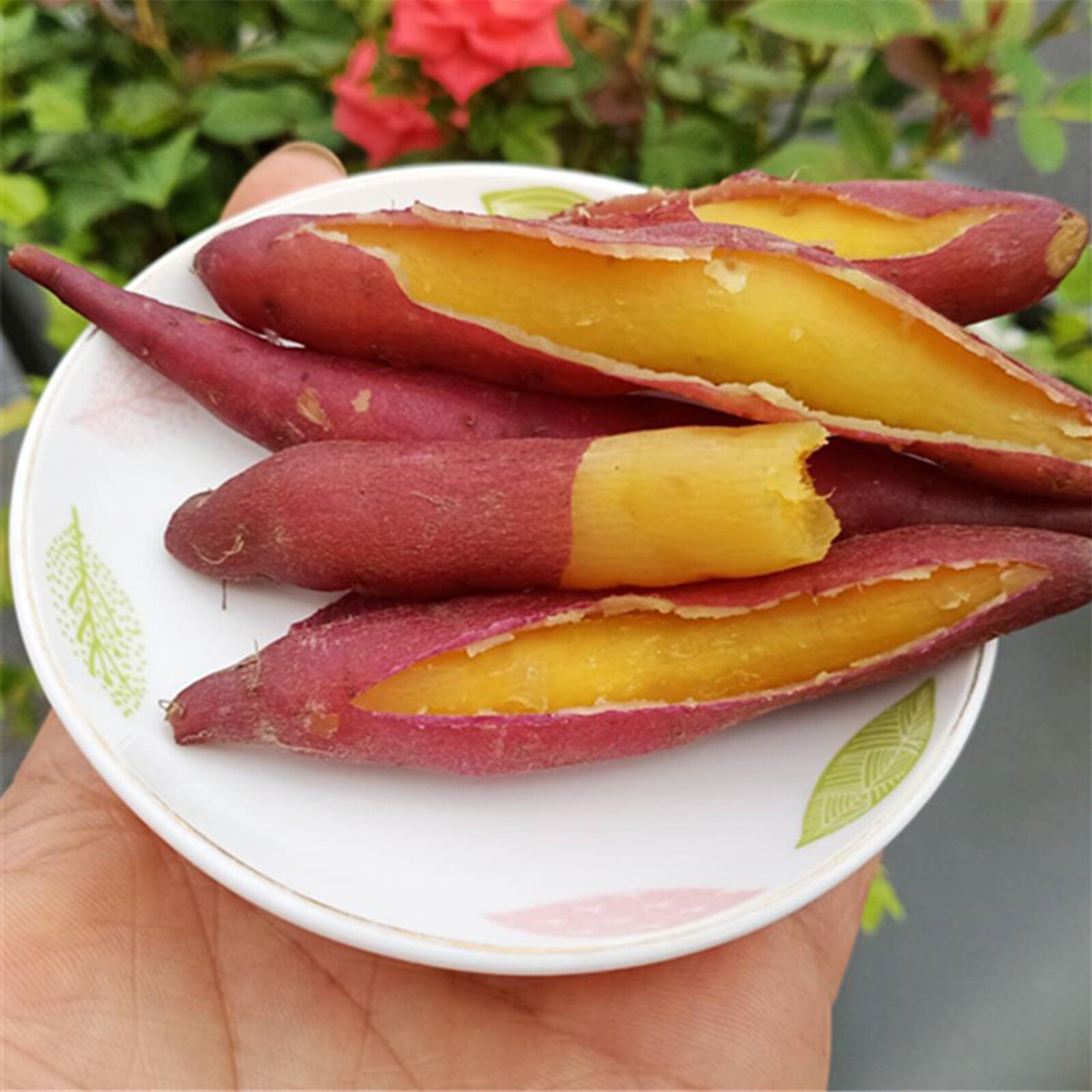 小香薯迷你黄心小红薯番薯地瓜