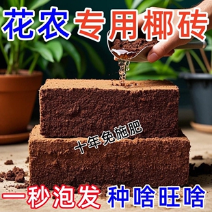 椰砖营养土养花多肉绿植专用种菜厂家直销型椰糠脱盐椰土通用
