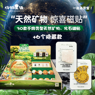 天然矿物化石冰箱贴盲盒探秘矿石玩具宝石磁吸贴科普地球宝藏礼物