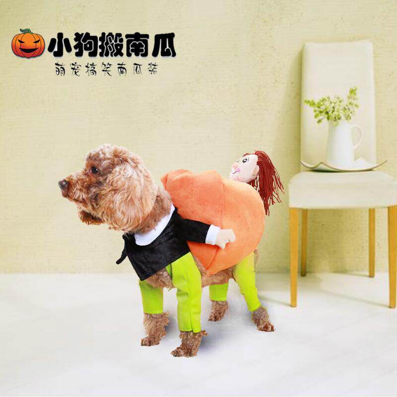 宠物搞怪小狗衣服南瓜背小人泰迪狗衣服小狗抬南瓜搞怪变身财神装