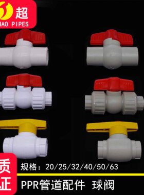 ppr20-63双活接全塑球阀 塑料钢芯球阀 全塑球阀 PPR热熔水管配件