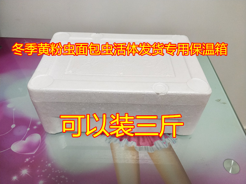 冬季黄粉虫面包虫活体运输保温箱 黄粉虫运输专用保温箱运送箱子,宠物/宠物食品及用品,爬虫/鸣虫食物,淘宝优惠券,粉丝福利购,淘宝优惠卷