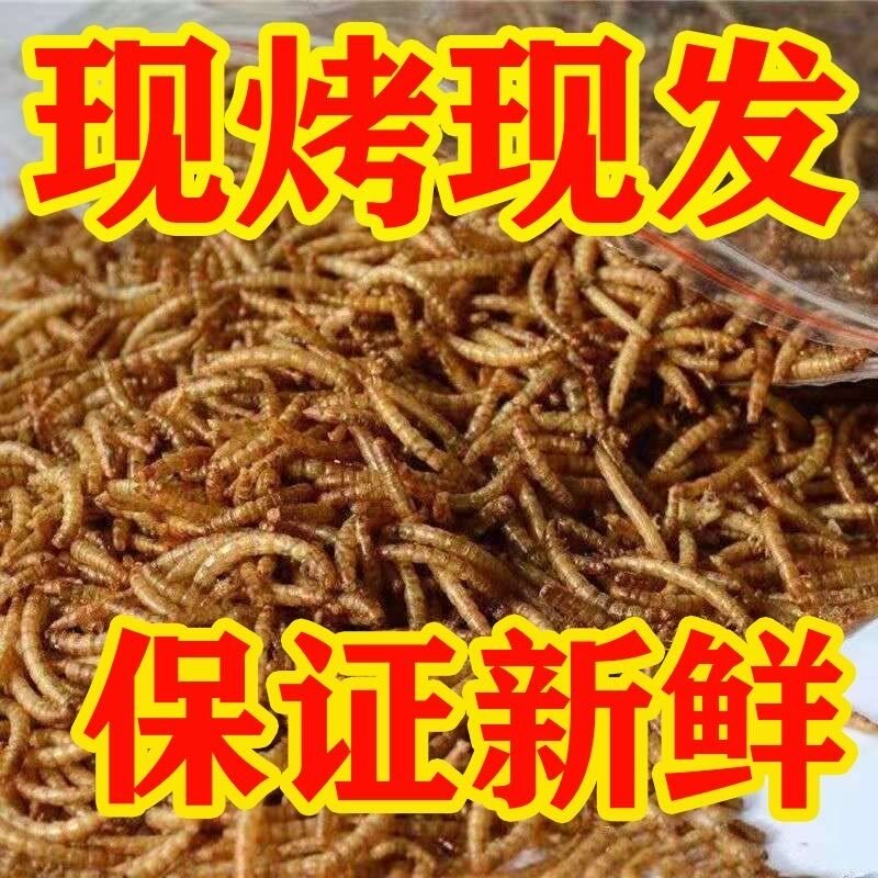 烘培营养面包虫干淡水仓鼠金丝熊