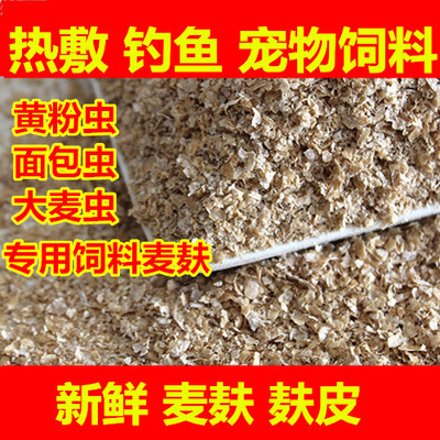 麦麸麸皮新鲜麸子饲料