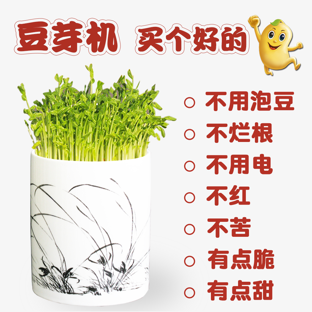 全自动豆芽机家用培育陶瓷