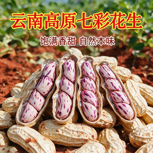 2026新货七彩花生米晒干带壳