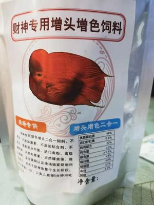 财神鱼增头增色虾红素营养高蛋白