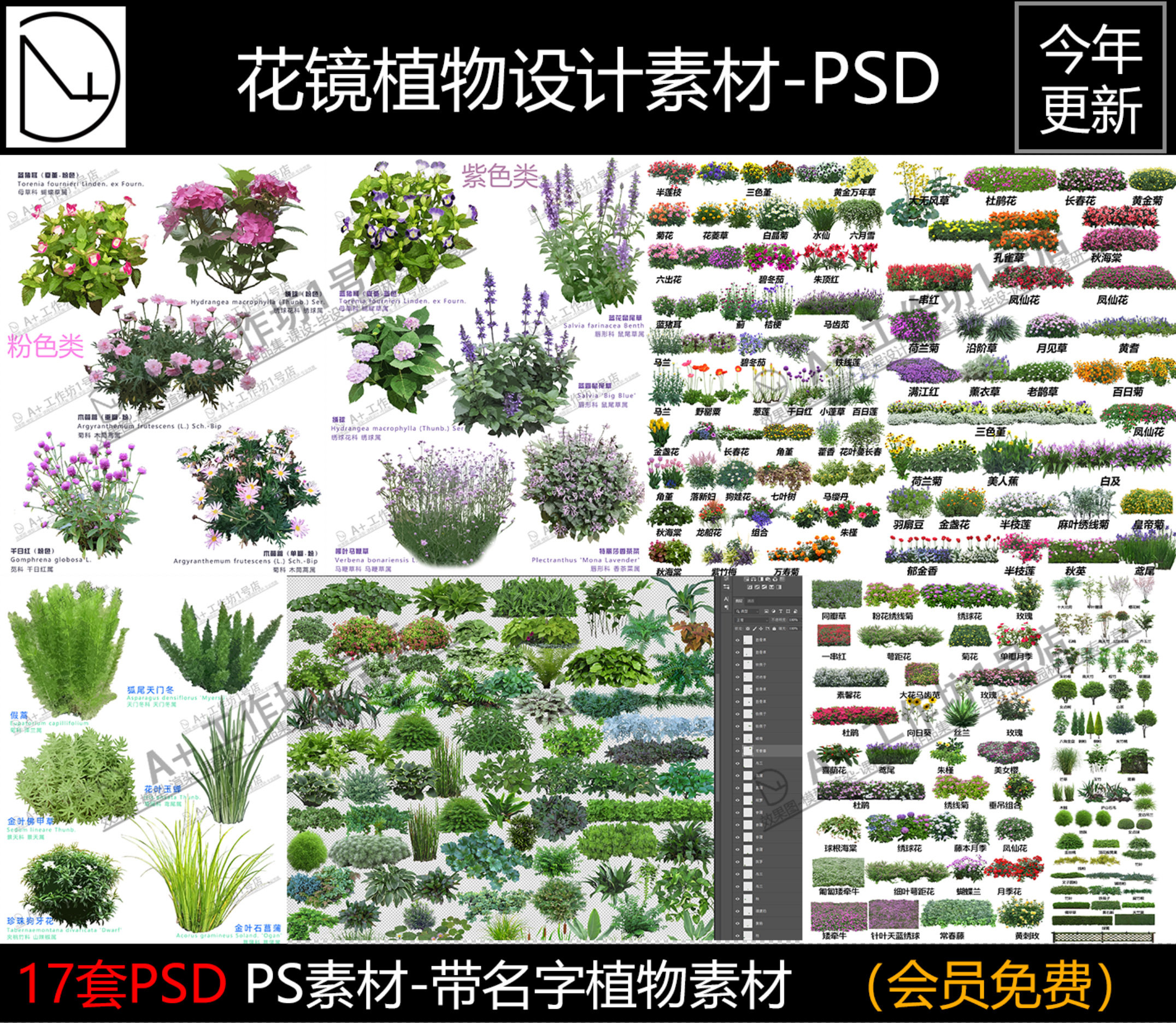 2024高清ps花境设计花境植物花卉花坛花镜效果图psd分层素材203ps