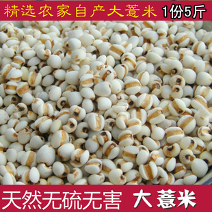 2025年新鲜薏米农家自种大薏米仁五谷杂粮薏仁米2500克大颗粒包邮
