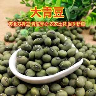 老品种大青豆干货青皮青芯双青豆农家大粒青豆苏北青豆新鲜生青豆
