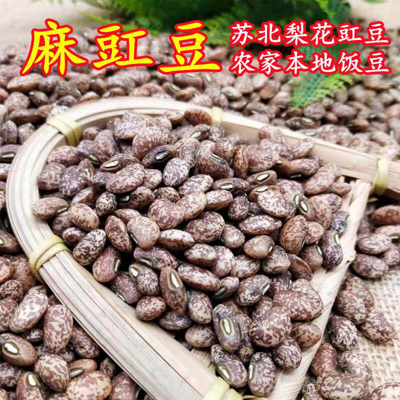 新货麻豇豆 农家自种花豇豆 江苏狸豇豆苏北江豆饭豆梨花豇豆杂粮