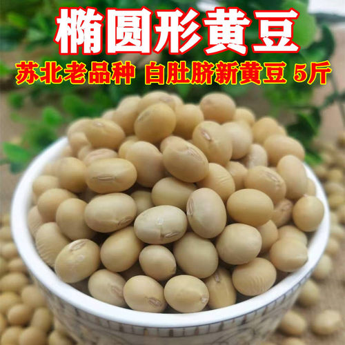 苏北黄豆 老品种椭圆形白皮黄豆 打豆浆豆花豆腐专用豆高蛋白大豆 - 封面