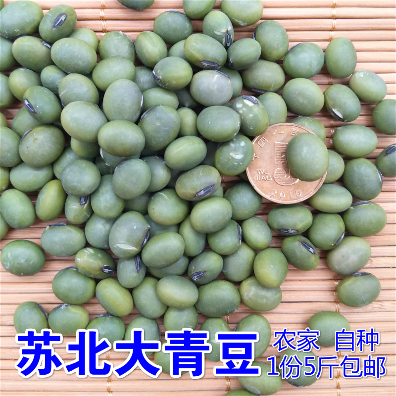 大青豆5斤苏北农家自种青皮青芯双青豆椭圆青豆打豆浆做豆腐包邮