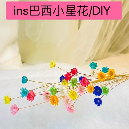 小星花干花花束DIY插花花材ins家居装饰桌面小花瓶摆件拍摄道具