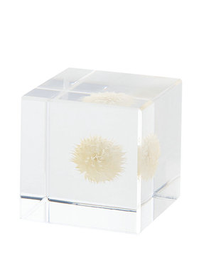 现代简约植物方体几何摆件样板间售楼处酒店民宿客厅装饰工艺品