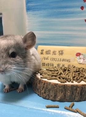 星姐龙猫马祖瑞配比营养龙猫主粮马配马祖瑞配方粮1斤1200克