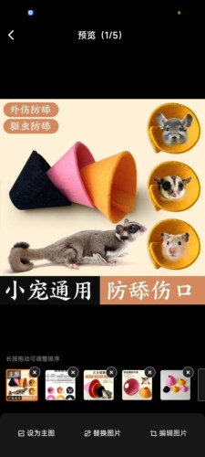 鹦鹉伊丽莎白圈牡丹玄凤小太阳不勒脖项圈防啃咬防细项圈挂脖头套