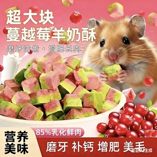 蔓越莓羊奶猫草鸡肉冻干仓鼠金丝熊蜜袋鼯花枝鼠刺猬磨牙零食补钙