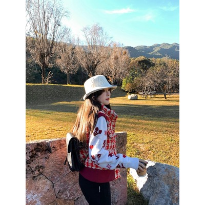 圣诞新年要的氛围感 粗纺千鸟格羽绒马甲/走锭羊毛纱高领提花毛衣