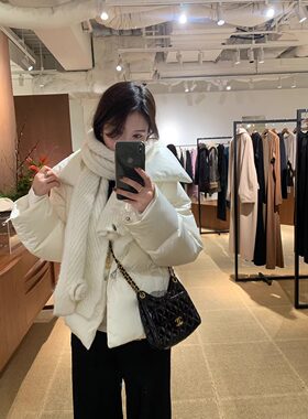 冰岛暖包 进口比利牛斯木拉鸭三星安心羽绒服 95绒 缎面真丝外套