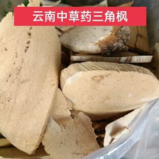 云南野生三角枫中药材高海拔爬山虎 新货 常春藤 追风藤 500克