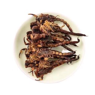 云南正品蝎子干全蝎中药材蝎子干全虫全干泡酒正品
