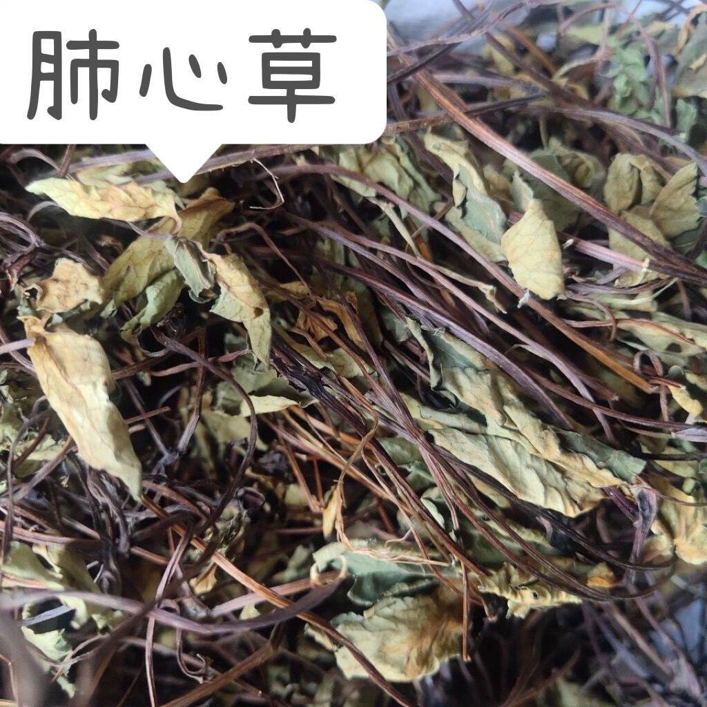 云南野生肺心草中药材中草药梅花草 白侧耳 肺经草 鹿蹄草 鹿衔草