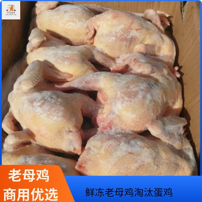 鲜冻红毛老母鸡淘汰蛋鸡老母鸡下蛋红毛老母鸡淘汰鸡蛋鸡