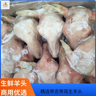 鲜冷冻羊头带舌羊头带皮羊头带耳羊头整羊头商用冷冻羊头批发商用